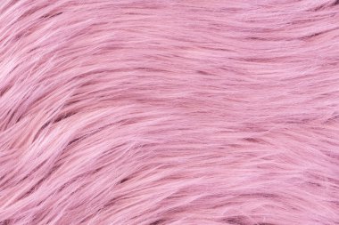 Pink fur texture top view. Pink sheepskin background. Fur pattern. Texture of pink shaggy fur. Wool texture. Sheep fur close up