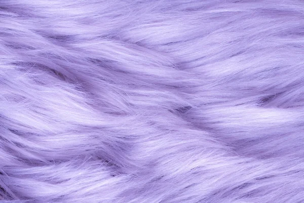 Lilac or purple fur texture top view. Lilac sheepskin background. Fur pattern. Texture of lilac, blue shaggy fur. Wool texture. Sheep fur close up