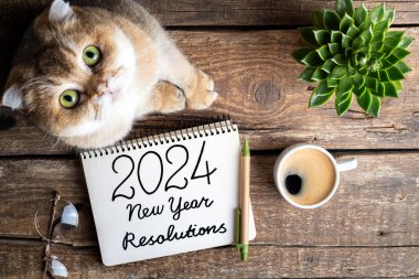 2024 sayılı yeni yıl kararları masada. Not defteri, kahve fincanı ve masadaki sevimli kediyle 2024 karar listesi. Hedefler, çözümler, plan, rahat, kızlık zarı konsepti. Yeni Yıl 2024
