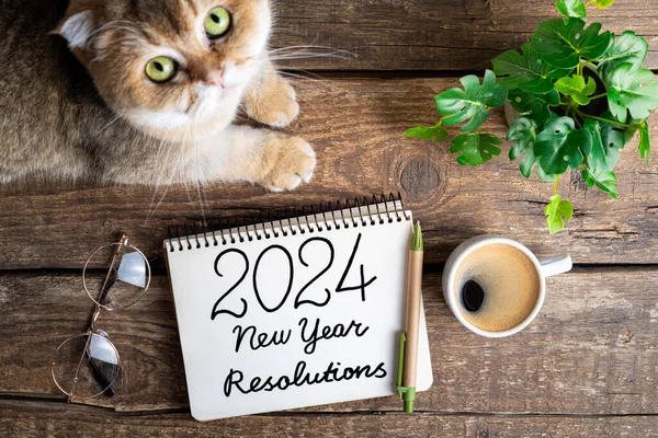 New year resolutions 2024 on desk. 2024 resolutions list with notebook, coffee cup, cute cat on table. Goals, resolutions, plan, cozy, hygge concept. New Year 2024 backgroun