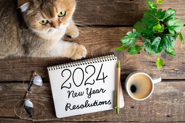 New year resolutions 2024 on desk. 2024 resolutions list with notebook, coffee cup, cute cat on table. Goals, resolutions, plan, cozy, hygge concept. New Year 2024 backgroun