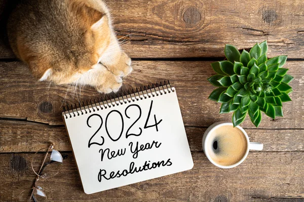 Resoluções Ano Novo 2024 Mesa 2024 Resoluções Lista Com Notebook Fotografia De Stock