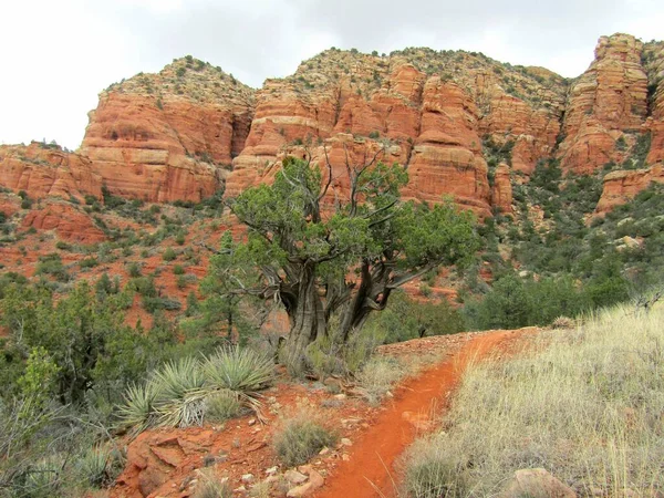 Formações Rochosas Vermelhas Arizona — Fotografia de Stock