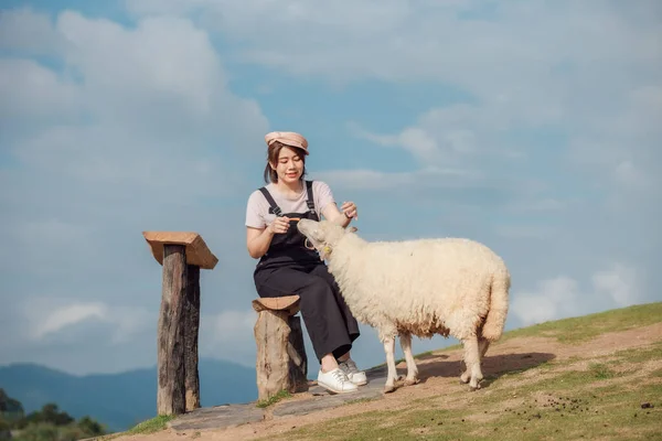 Momento Feliz Uma Agricultora Alimentando Suas Ovelhas — Fotografia de Stock