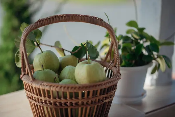 Bir sepet olgun guava, tatlı aromalı tropikal meyve..
