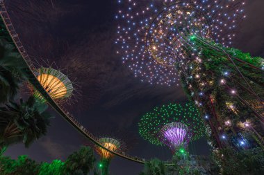 Canlı renkler ve yemyeşil ile çevrili aydınlık yapıların çarpıcı gece manzarası doğanın ve modern tasarımın sanatsal bir karışımını sergiliyor..