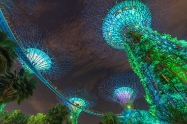 Fütürist bahçe yapılarının göz kamaştırıcı manzarası gece aydınlanıyor, doğa ve teknolojinin bir karışımını sergiliyor. Canlı ve sakin bir atmosfer bekliyor..
