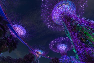 Modern bir bahçede aydınlanmış ağaçların ve canlı renklerin yer aldığı çarpıcı bir gece sahnesini keşfedin. Doğanın ve sanatın uyumunu gözler önüne serin..