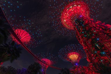 Geceleri ışıldayan canlı bir bahçenin büyüleyici güzelliğini tecrübe et. Bu uzun ağaçlar renkli ışıklarla süslenip büyülü bir atmosfer yaratıyor..