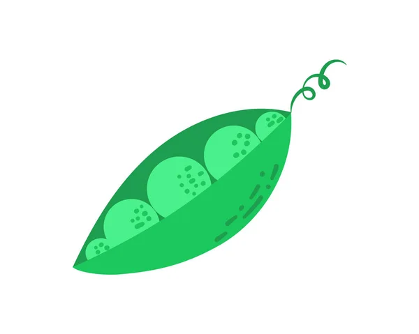 Зеленый Горох Изолирован Белом Фоне Векторной Иллюстрации Набор Двух Зеленых — стоковый вектор