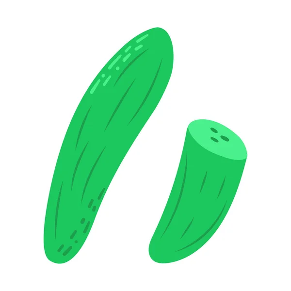 Векторная Иллюстрация Огурца Выделена Белом Фоне Зеленый Маринованный Огурец Стоковый вектор