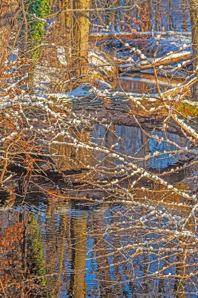 Kép Egy Kis Folyami Folyóról Erdőben Tükröződve Esti Fényben — Stock Fotó