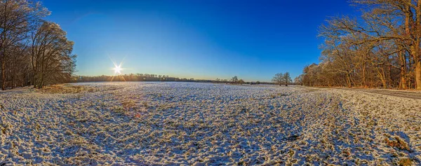 Панорамное Изображение Снежном Лугу Деревьями Вечернем Свете — стоковое фото