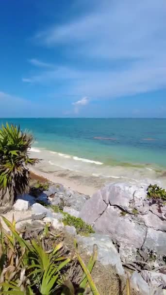 Video Panning Atas Pantai Tropis Tulum Selama Siang Hari Selama — Stok Video