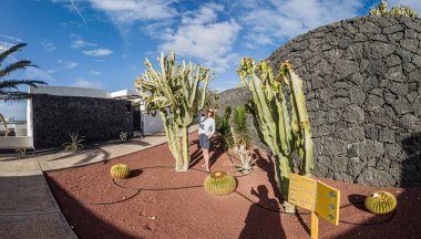 Gündüz vakti Lanzarote Kanarya Adası 'ndaki bir bahçede farklı kaktüsler.