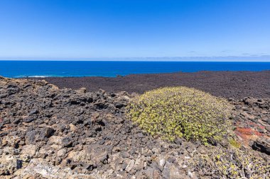 Gündüz vakti Lanzarote 'deki El Golfo yakınlarındaki volkanik sahilde görüntü