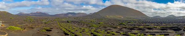 日中はブドウとランサローテの不毛の火山ティンファヤ国立公園のパノラマビュー — ストック写真