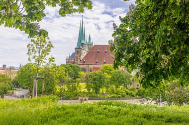 Gündüz vakti Thüringen 'in Erfurt kentindeki ünlü katedralin manzarası