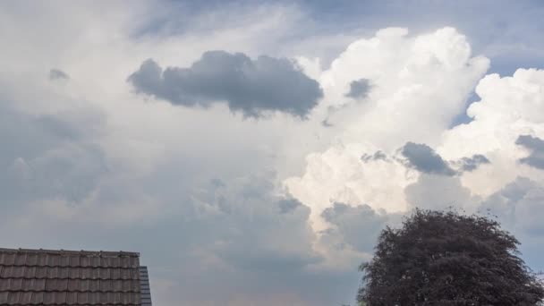 Video Lapso Tiempo Nubes Cumulonimbus Ascendentes Una Tormenta Eléctrica Que — Vídeos de Stock