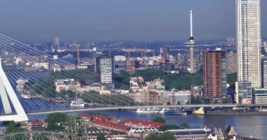 Sabahın köründe Meuse ve Rotterdam şehir merkezinde Erasmus Köprüsü ile insansız hava aracı videosu.