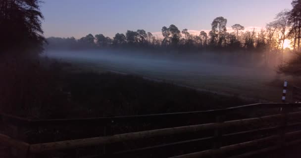 Sisli Bir Kış Sabahı Ormanda Mistik Bir Atmosferin Kamerasıyla Çekilmiş — Stok video