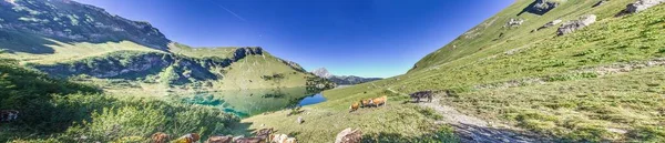 Panoramic View Mountains Three Lakes Route Tannheimer Valley Day Summer — Stock Photo, Image