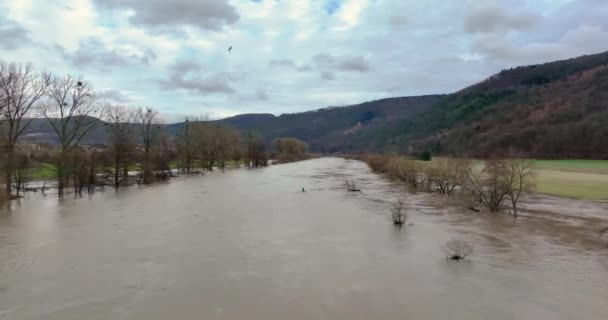 Drohnenvideo Vom Main Während Einer Flut Mit Überfluteten Bäumen Ufer — Stockvideo