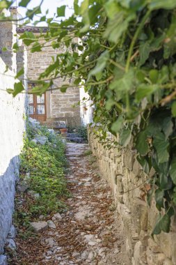 Picture from the historic town of Groznjan in Istria with idyllic cobbled streets and buildings made of natural stone during the day