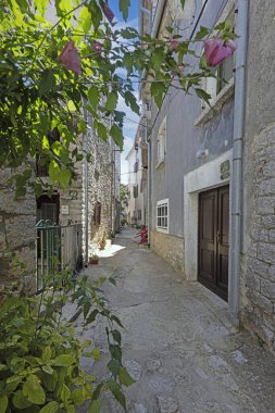 Picture from the historic town of Groznjan in Istria with idyllic cobbled streets and buildings made of natural stone during the day