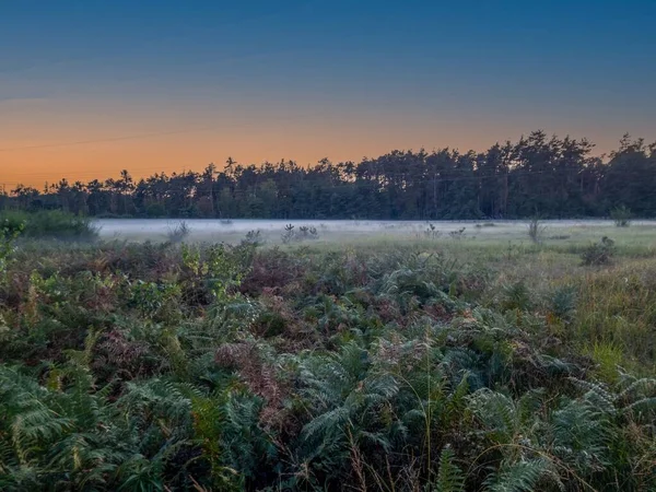 Panoramic image of a meadow with ground fog in the evening in autumn