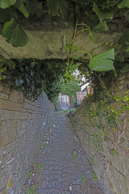 Gün ışığında doğal taş duvarları olan, kaldırımlı ve aşırı büyümüş, içi boş bir yol hayal et.