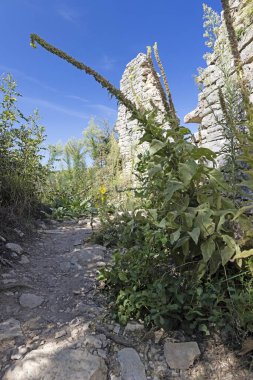 Fotoğraf yaz aylarında Instria 'nın tarihi hayalet kasabası Dvigrad' dan.