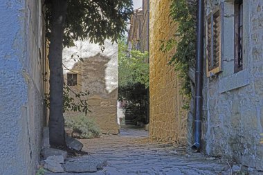 Picture from the historic town of Groznjan in Istria with idyllic cobbled streets and buildings made of natural stone during the day