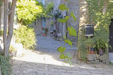 Picture from the historic town of Groznjan in Istria with idyllic cobbled streets and buildings made of natural stone during the day
