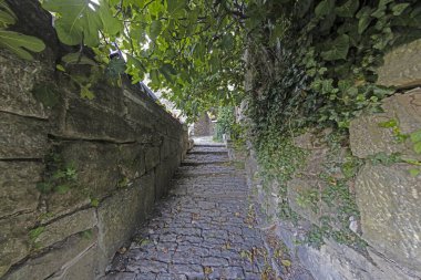 Gün ışığında doğal taş duvarları olan, kaldırımlı ve aşırı büyümüş, içi boş bir yol hayal et.