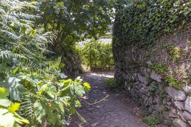 Gün ışığında doğal taş duvarları olan, kaldırımlı ve aşırı büyümüş, içi boş bir yol hayal et.