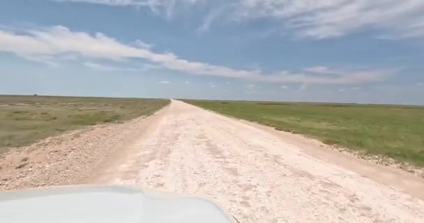 在纳米比亚的埃沙国家公园的一条尘土飞扬的道路上 一辆汽车上的视频 车上洒满了飞沫 蓝天下是广阔的草原 乌云密布 — 图库视频影像