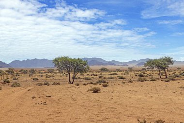 Namibya 'daki Namib Çölü' nün kenarındaki Tiras Dağları 'nın eşsiz manzarasının resmi.