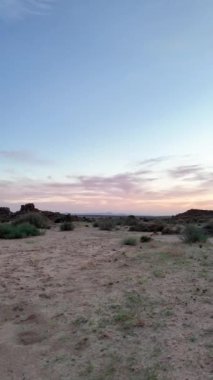 Güney Namibya 'daki sarmaşığın üzerinde renkli bir günbatımı videosu. Yazın gökyüzünde pembe bir renk oyunu.