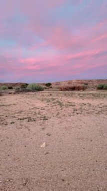 Güney Namibya 'daki sarmaşığın üzerinde renkli bir günbatımı videosu. Yazın gökyüzünde pembe bir renk oyunu.