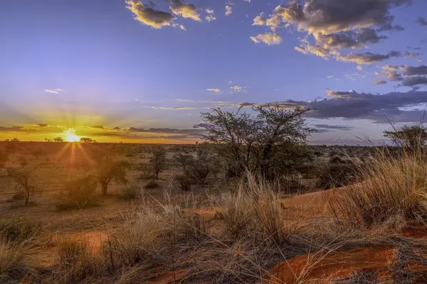 Namibya Kalahari nehri üzerinde akşam üstü mavi gökyüzü ve yaz aylarında hafif bulutlarla panoramik bir resim.