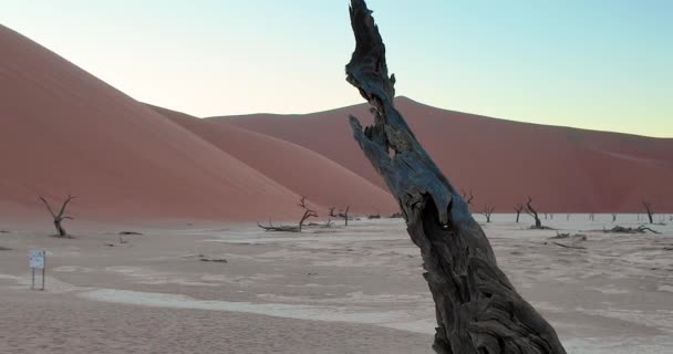 Video Pan Sur Casserole Sel Deathvlei Dans Désert Namib Avec — Video