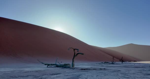 Video Pan Sobre Sal Pan Deathvlei Desierto Namib Con Árboles — Vídeos de Stock