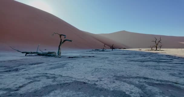 Videopan Zoutpan Van Deathvlei Namibische Woestijn Met Dode Bomen Bij — Stockvideo