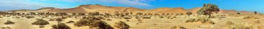 Namibya 'daki Namib Çölü' nün kırmızı kumullarının panoramik resmi yaz güneşinde mavi gökyüzüne karşı.