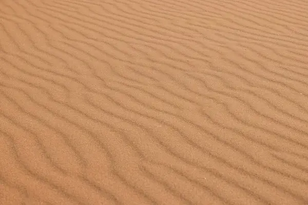 View of the undulating surface of a sandy area in the desert shaped by the wind during the day