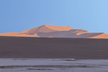 Namibya 'daki Namib Çölü' nün kırmızı kumullarının panoramik resmi yaz güneşinde mavi gökyüzüne karşı.