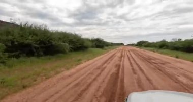 Yazın Namibya 'daki Etosha Ulusal Parkı' nda bir grup filin videosu