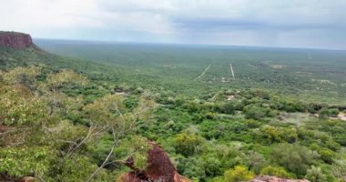 Yazın Namibya 'daki Etosha Ulusal Parkı' nda bir grup filin videosu