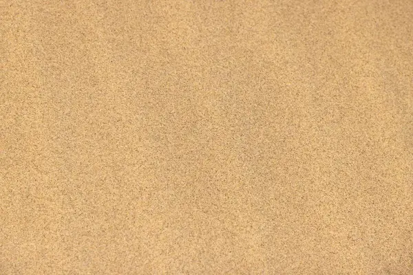 图为夏天在纳米布沙漠的沙滩上垂直拍摄的照片 免版税图库照片